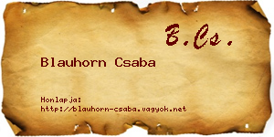 Blauhorn Csaba névjegykártya